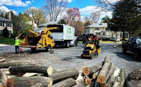 Best Stump Grinding and Removal  in Guttenberg, IA