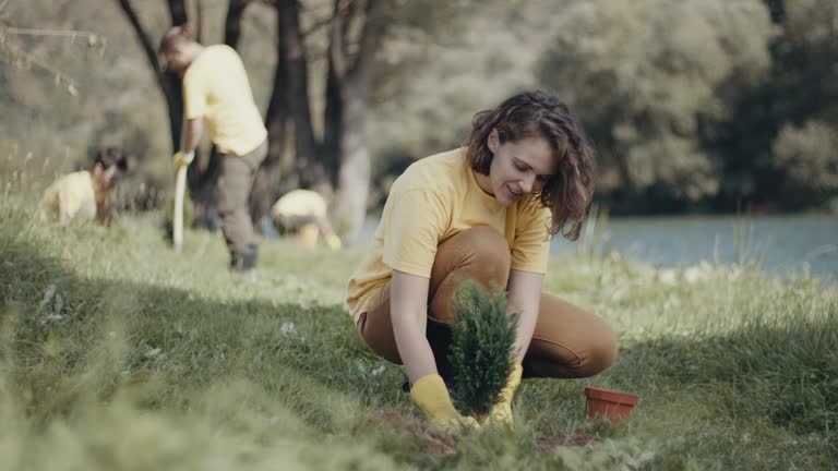Best Lawn Maintenance Plans  in Guttenberg, IA